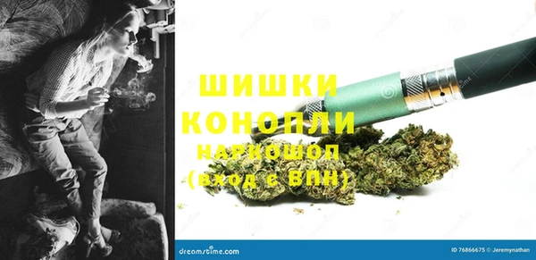ПСИЛОЦИБИНОВЫЕ ГРИБЫ Абаза