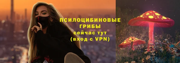 крисы Абдулино