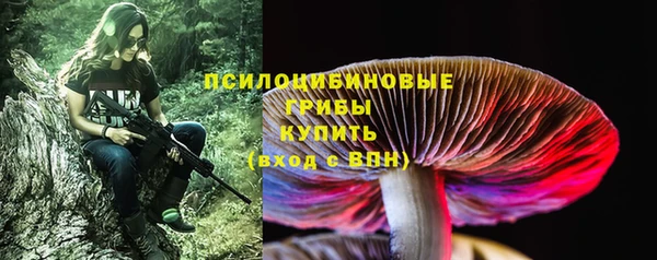 ПСИЛОЦИБИНОВЫЕ ГРИБЫ Абаза