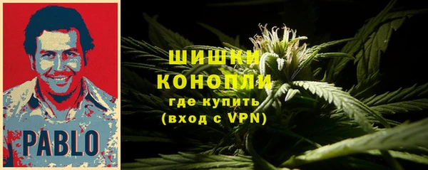 ПСИЛОЦИБИНОВЫЕ ГРИБЫ Абаза