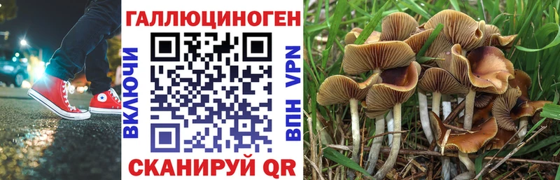 мориарти наркотические препараты  Советск  Галлюциногенные грибы MAGIC MUSHROOMS 