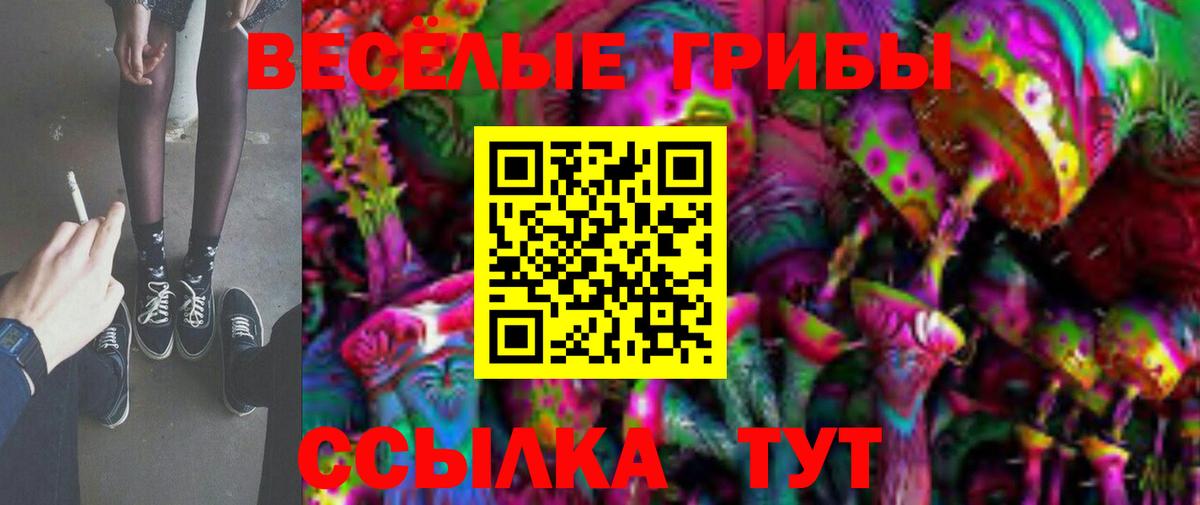Советск  Галлюциногенные грибы Magic Shrooms  Вход с VPN 